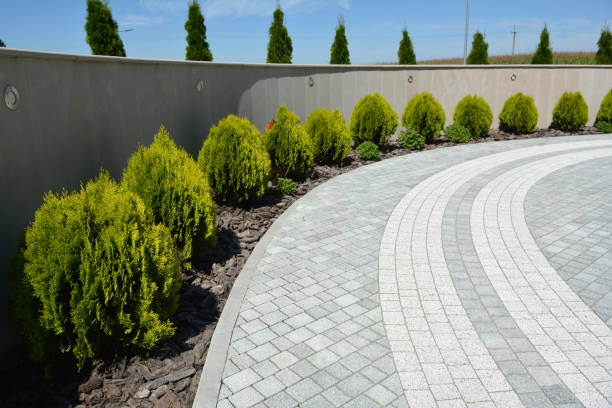 Best Residential Paver Driveway  in Meadview, AZ